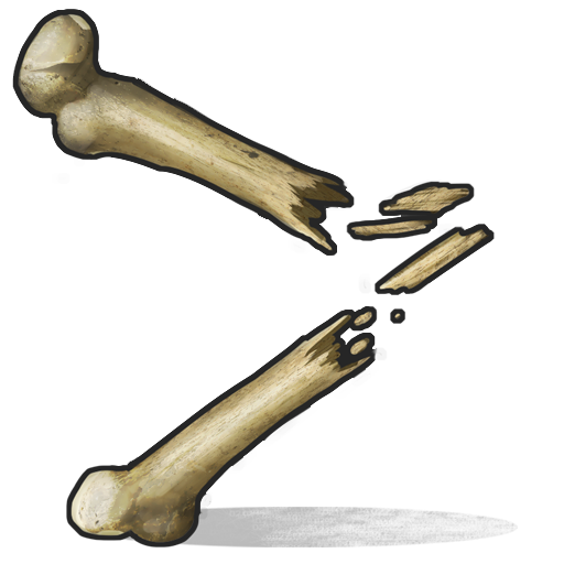Knochenfragmente