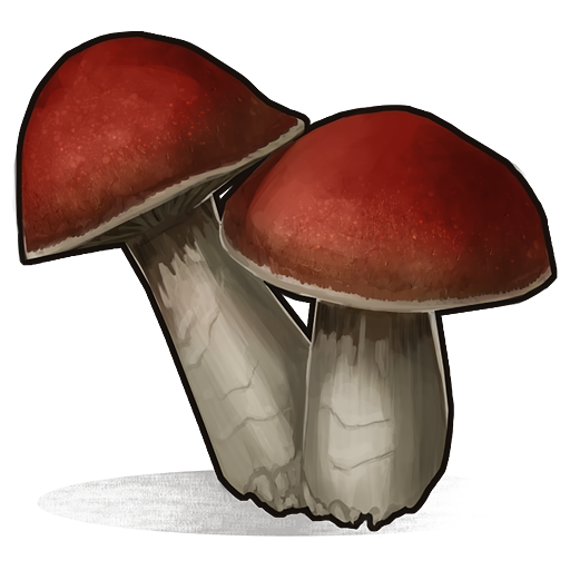 Pilz