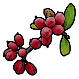 Rote Beere